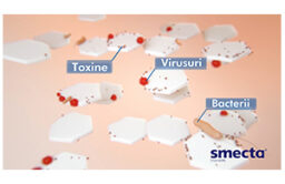 Smecta absoarbe virusurile, bacteriile și toxinele Smecta absoarbe virusurile, bacteriile și toxinele